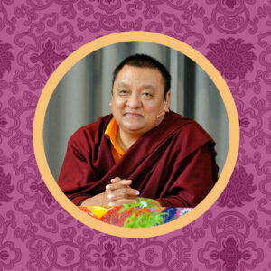 Sharmapa Shamar Rinpoche